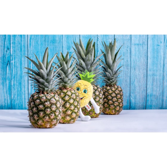 Maskotka Eleniuszek Ananas