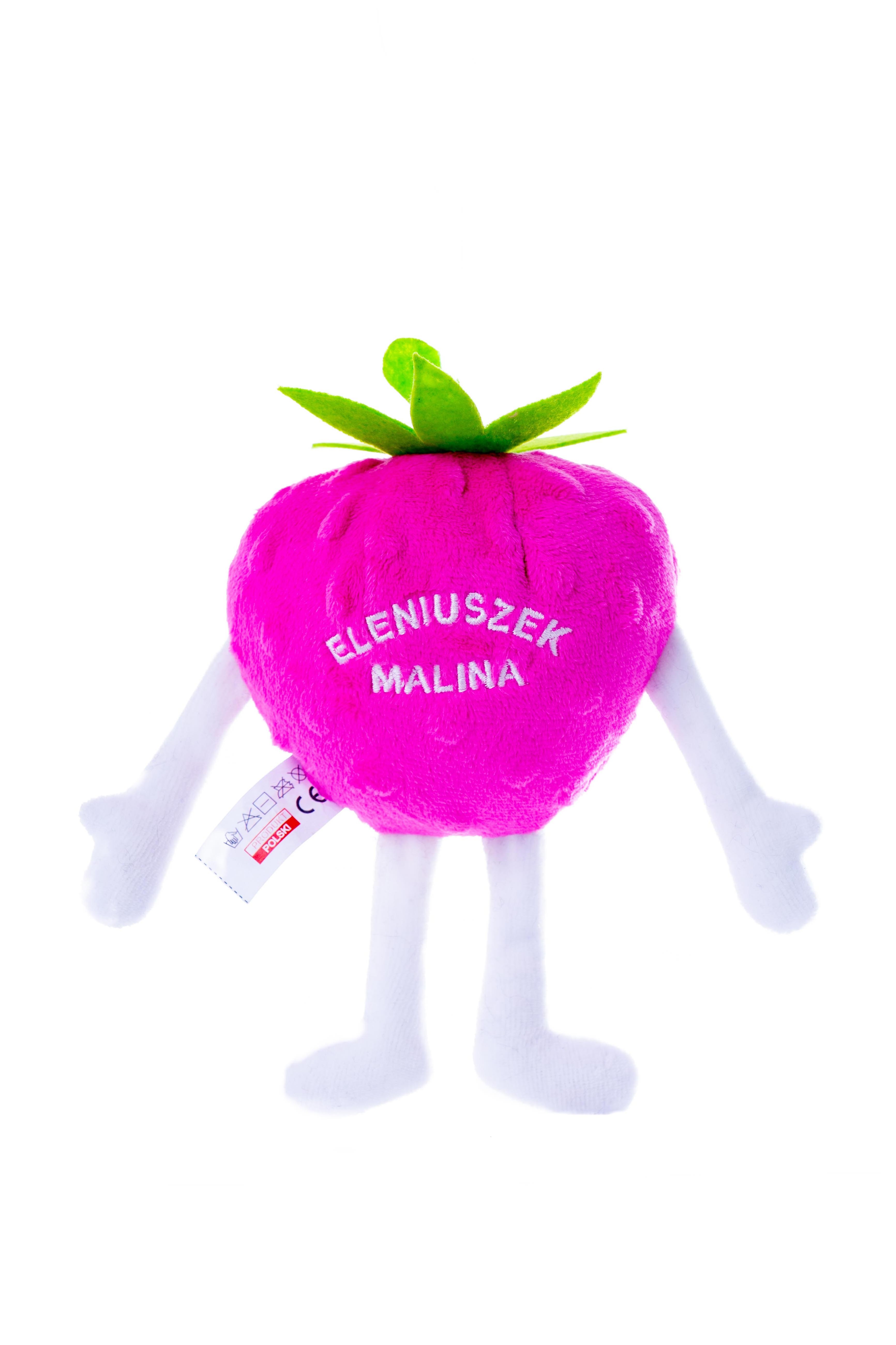 Eleniueszek Raspberry Mascot