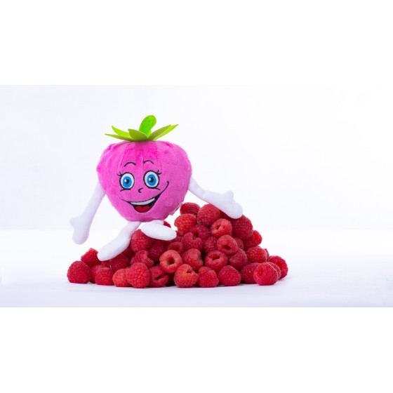 Eleniueszek Raspberry Mascot