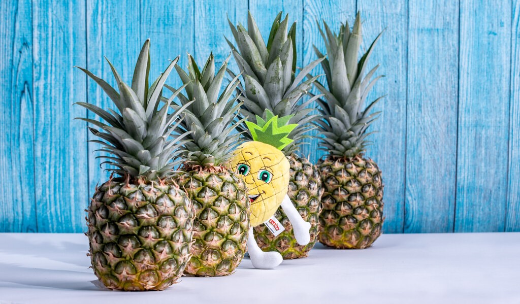 Eleniueszek Pineapple Mascot